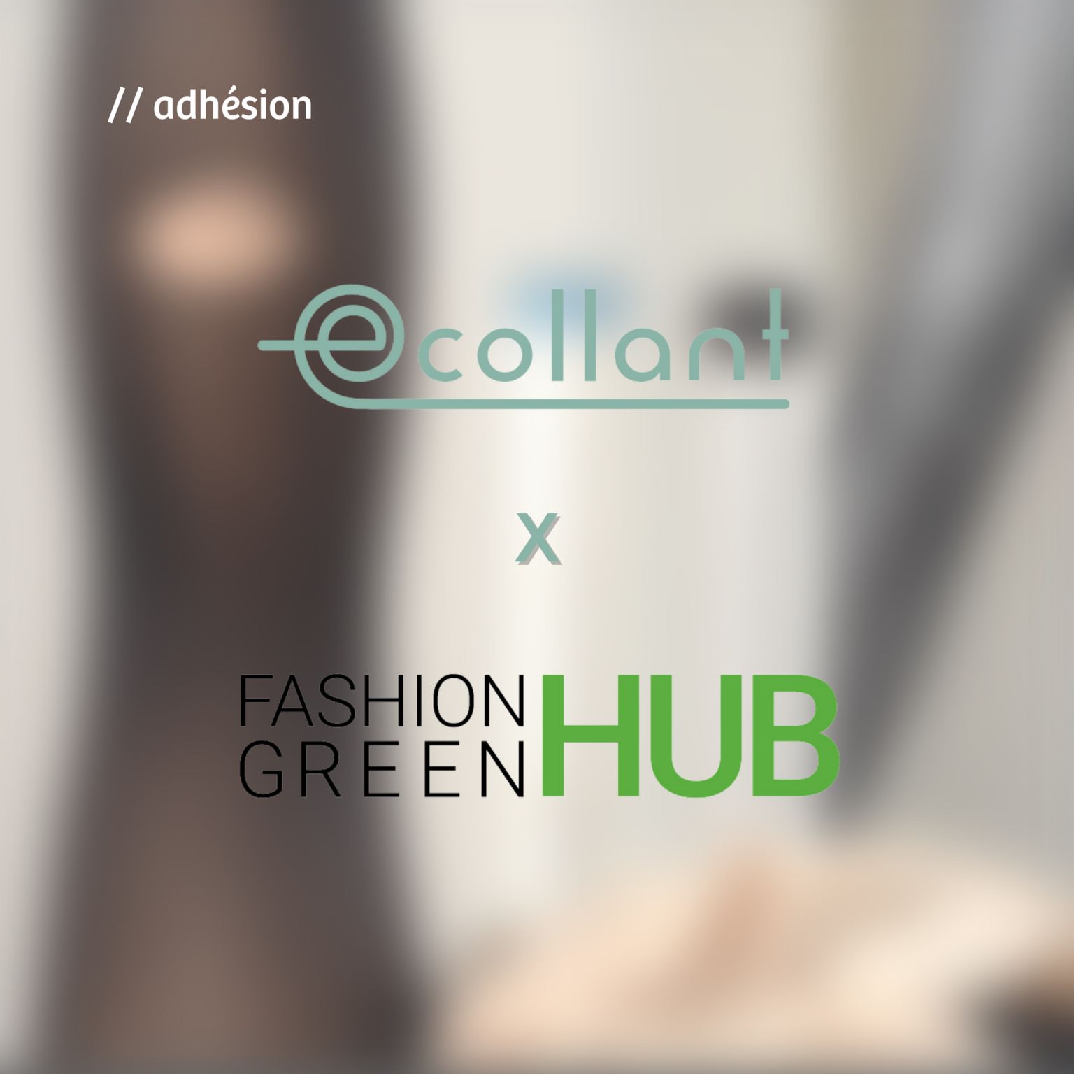 Fashion Green Hub x Ecollant !